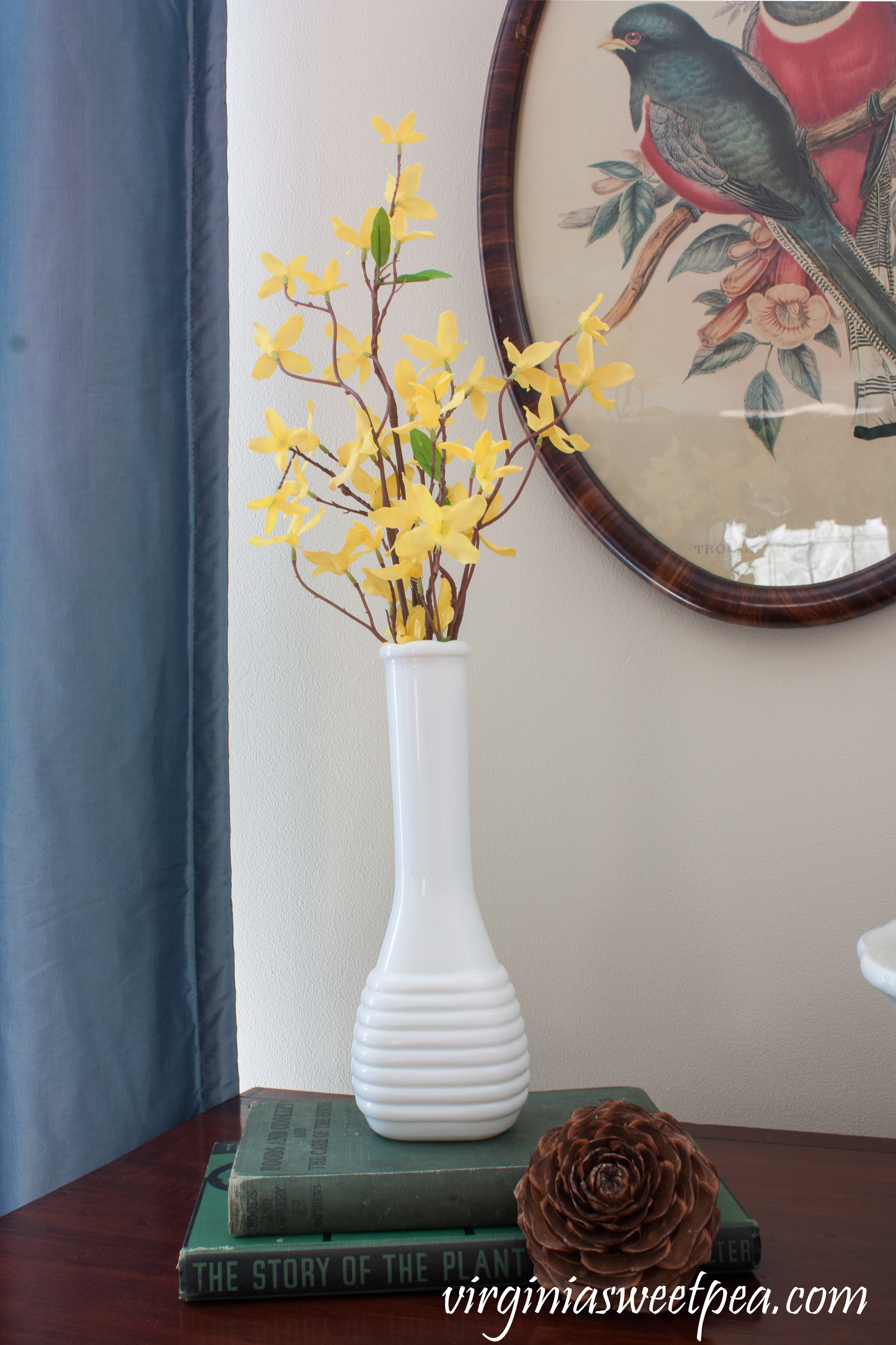 A milk glass vase filled with faux Forsythia is elevated by two vintage books:  A 1938 "The Story of the Plant Kingdom" and a 1921 "Foods and Cookery and The Care of the House" #springvignette #springdecor #vintagedecor #milkglass