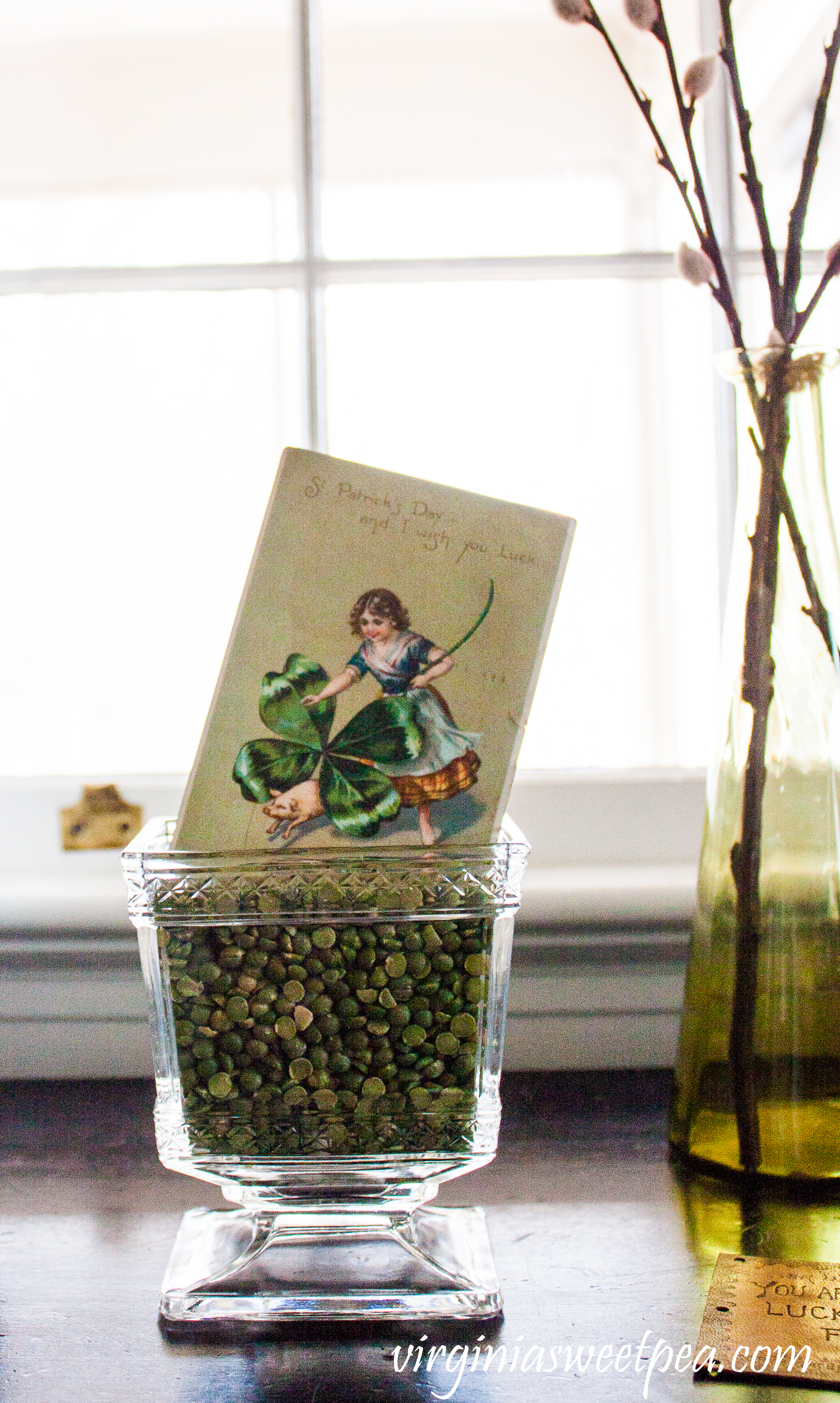 1908 St. Patrick's Day postcard displayed in an antique glass compote filled with split peas. #antiquepostcard #antiquestpatricksdaypostcard #vintagedecor