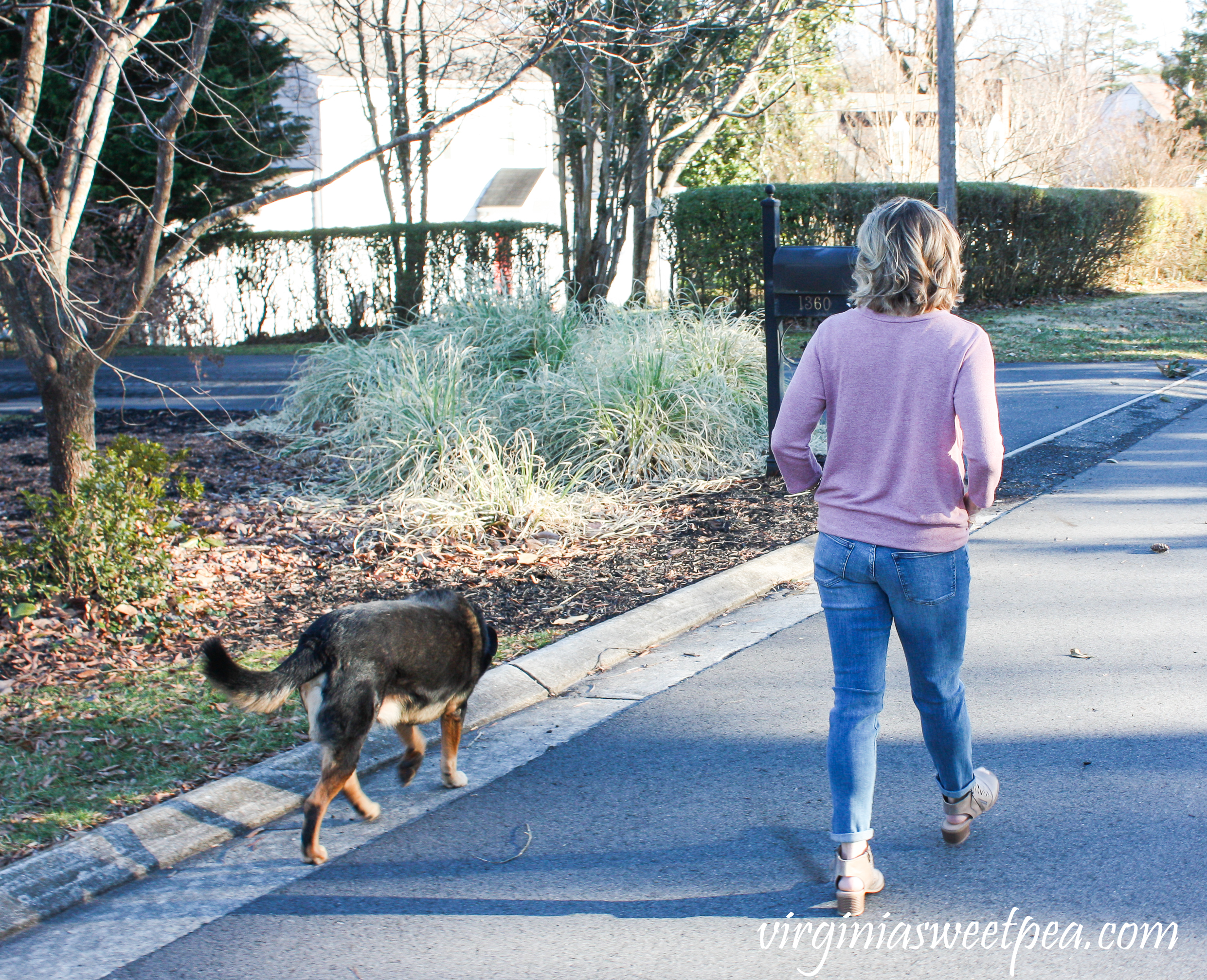 Stitch Fix Review for March 2019 - Warp + Weft Jenny Straight Leg Jean with Kaileigh Francine Tie Front Knit Top #stitchfix #stitchfixreview #stitchfix2019 #stitchfixspring #stitchfixjeans #shermanskulina