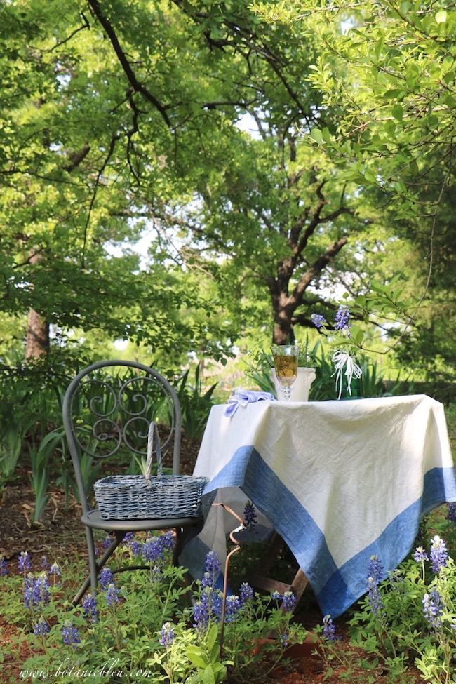 Tea party in a backyard featuring Texas bluebonnets.