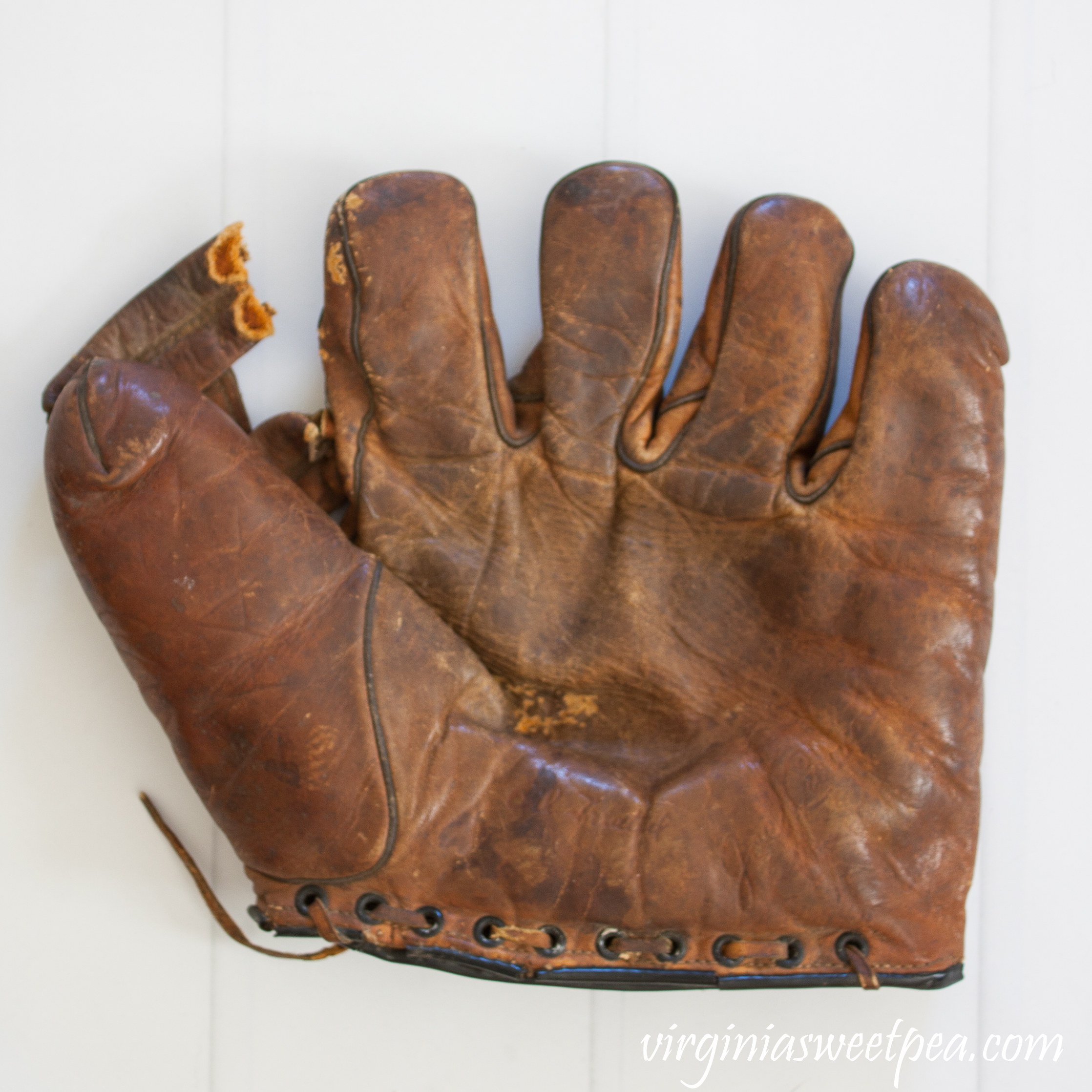 Classic baseball gloves sales