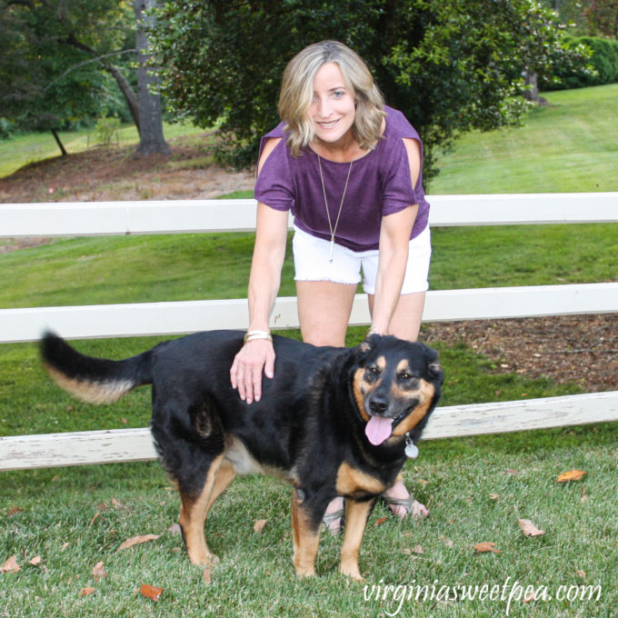 Stitch Fix Colette Romey Cold Shoulder Knit Top and Just Black Kolby Fray Hem Denim Short 