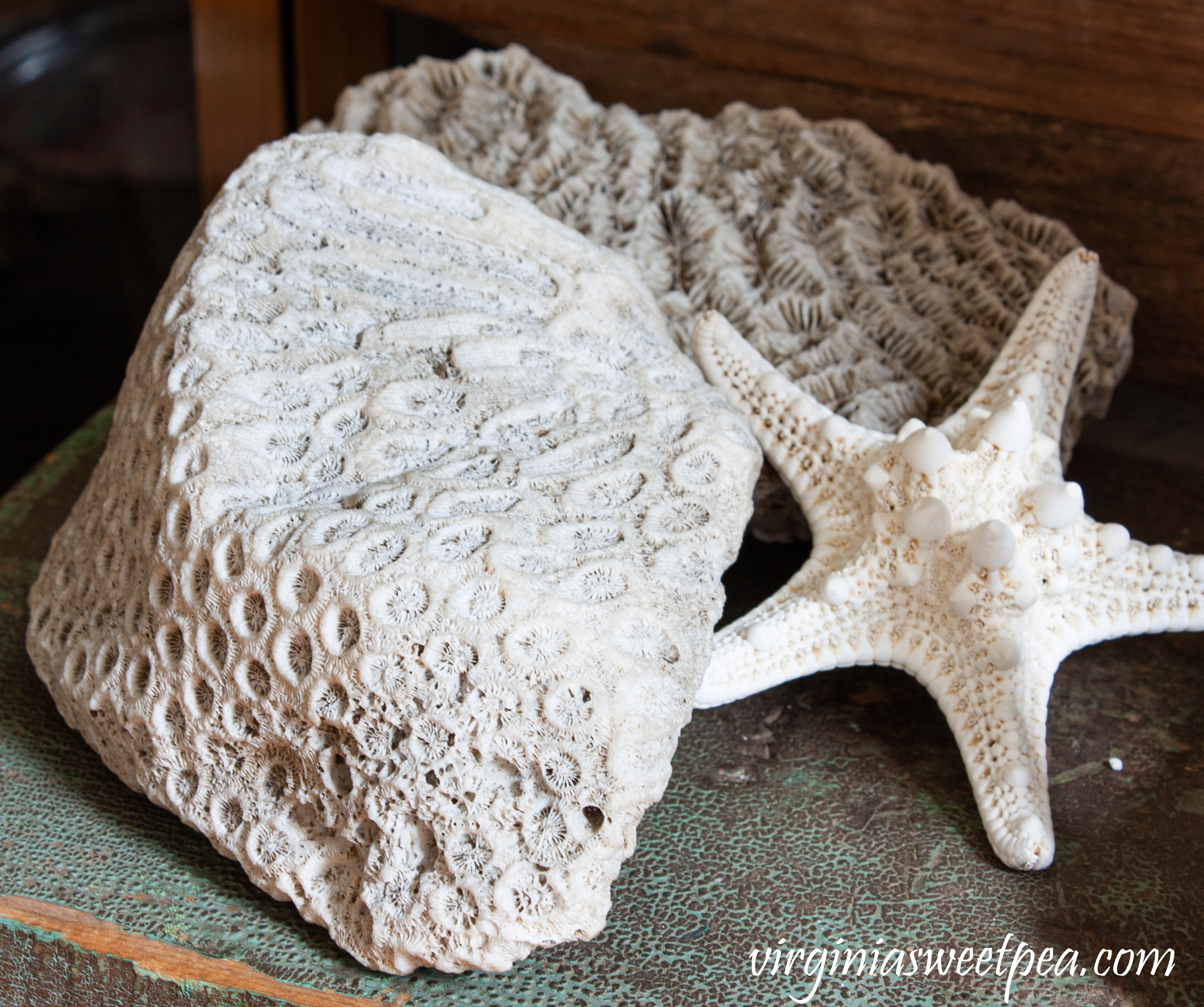 Coral and a Starfish used in a summer coastal themed vignette