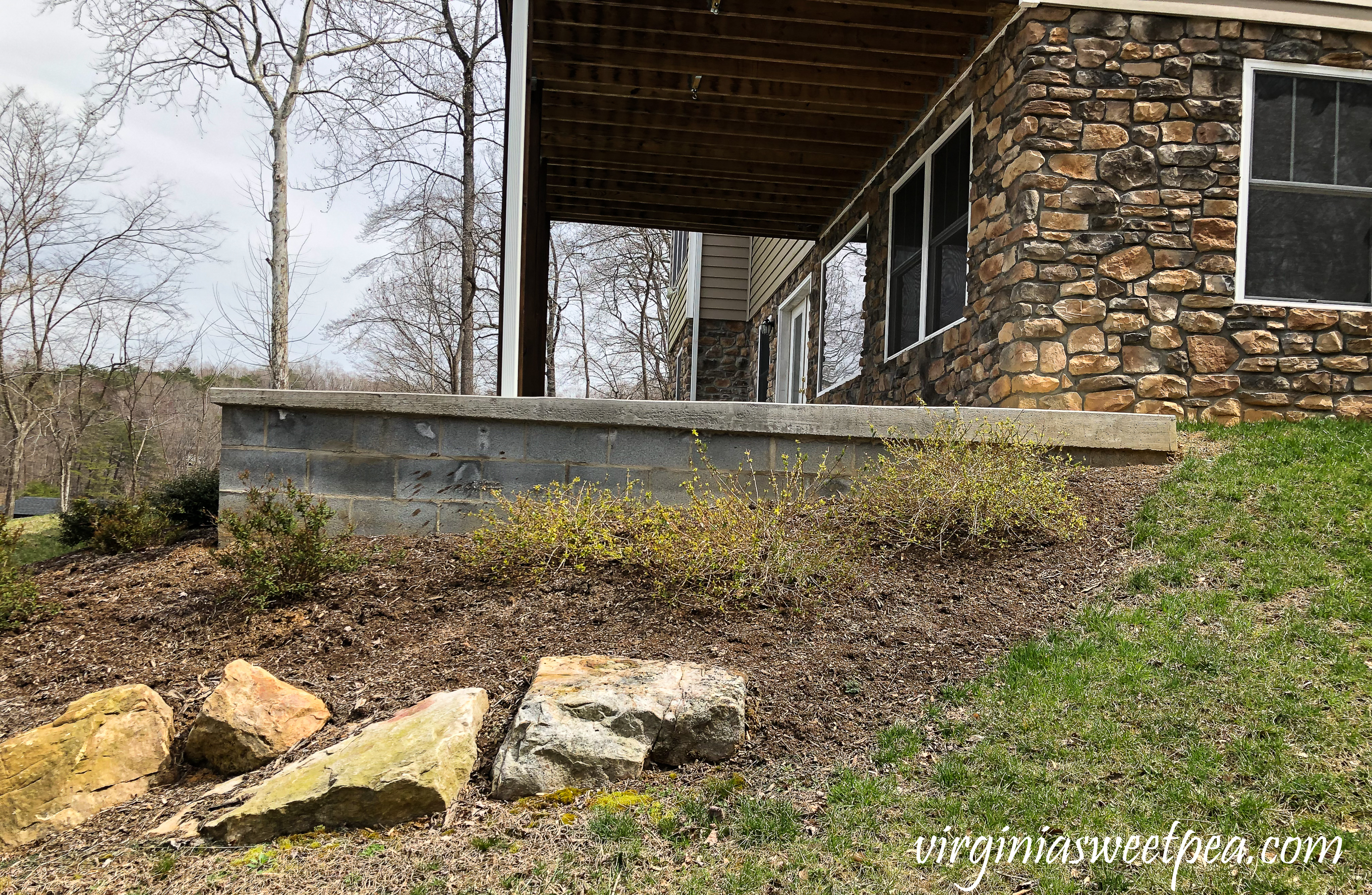 Patio with exposed concrete walls