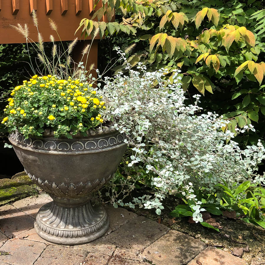 Easy Fall Update for Outdoor Pots