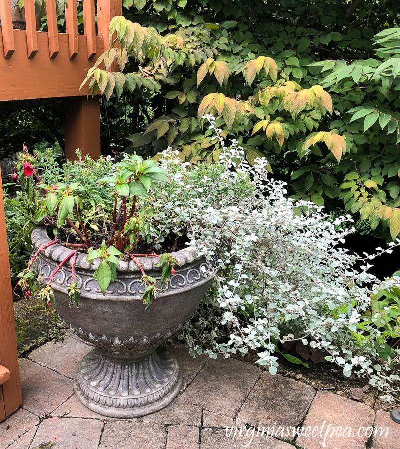 Pot planted with summer annuals that are tired and ready to be replaced for fall.