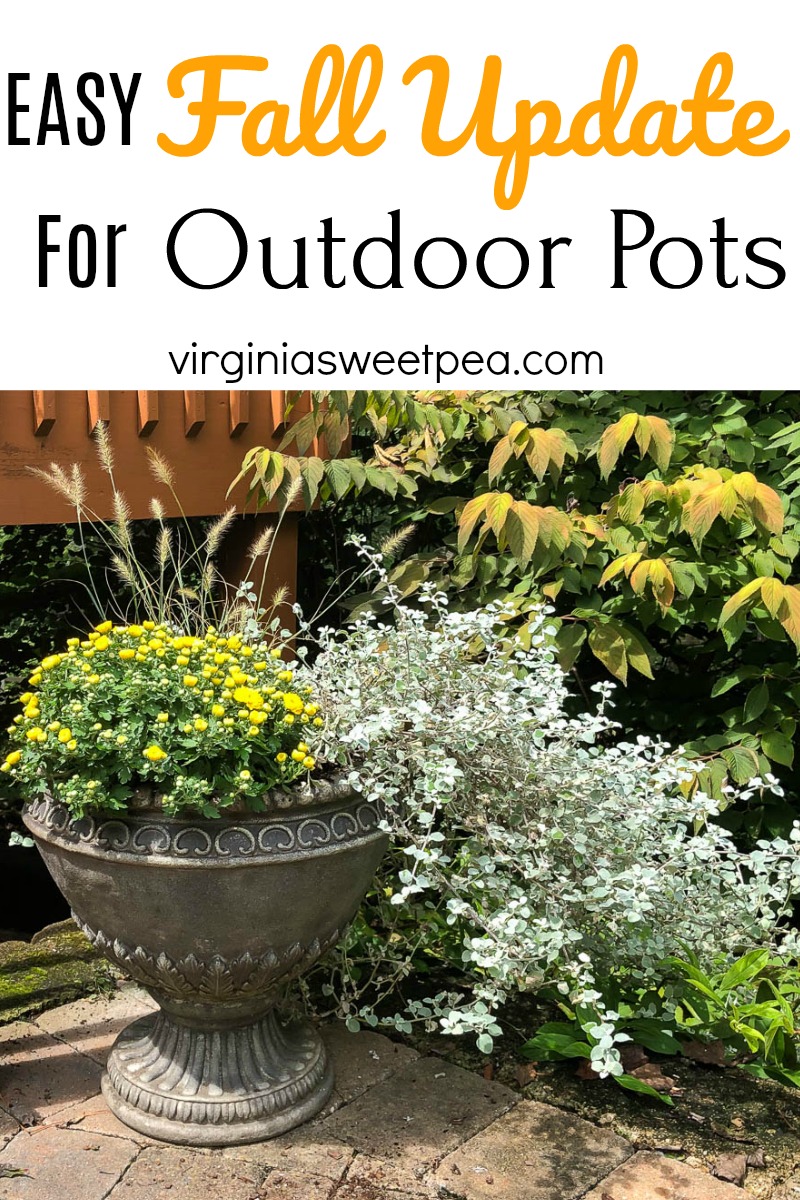 Easy Update for Outdoor Pots