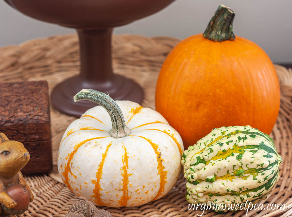 Pumpkins and gourds used in fall decor