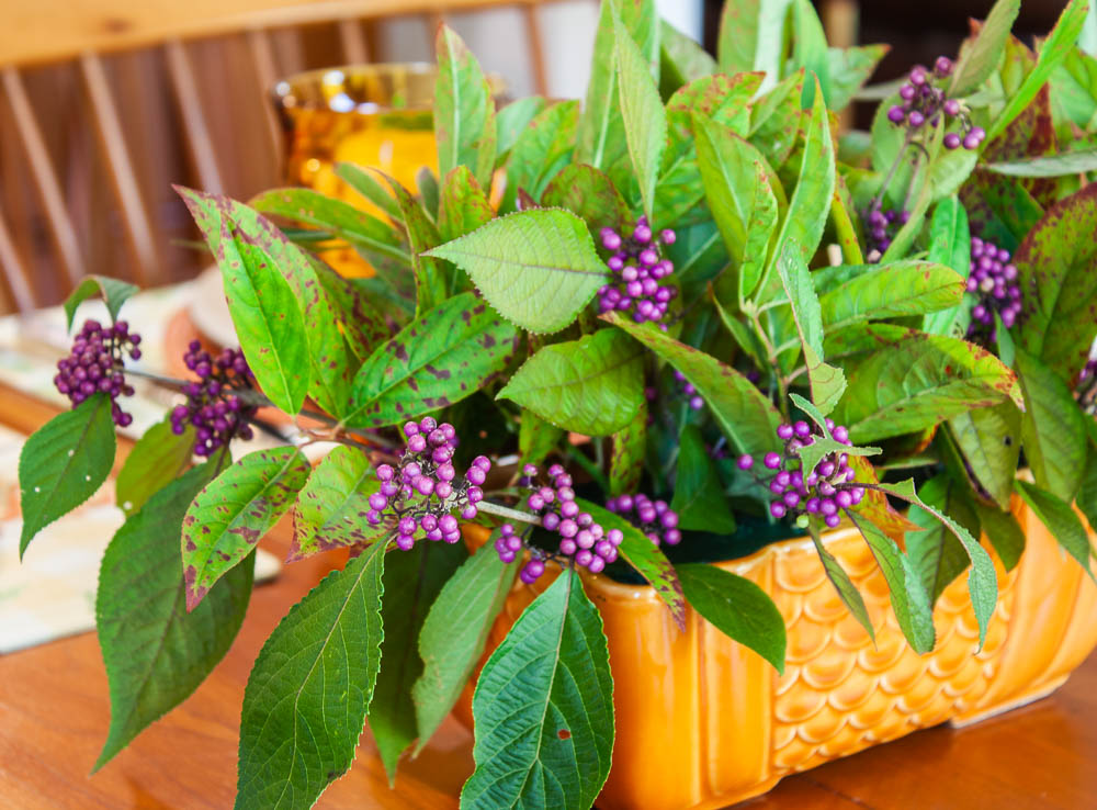 Centerpiece with Beautyberry and Virginia Sweetspire