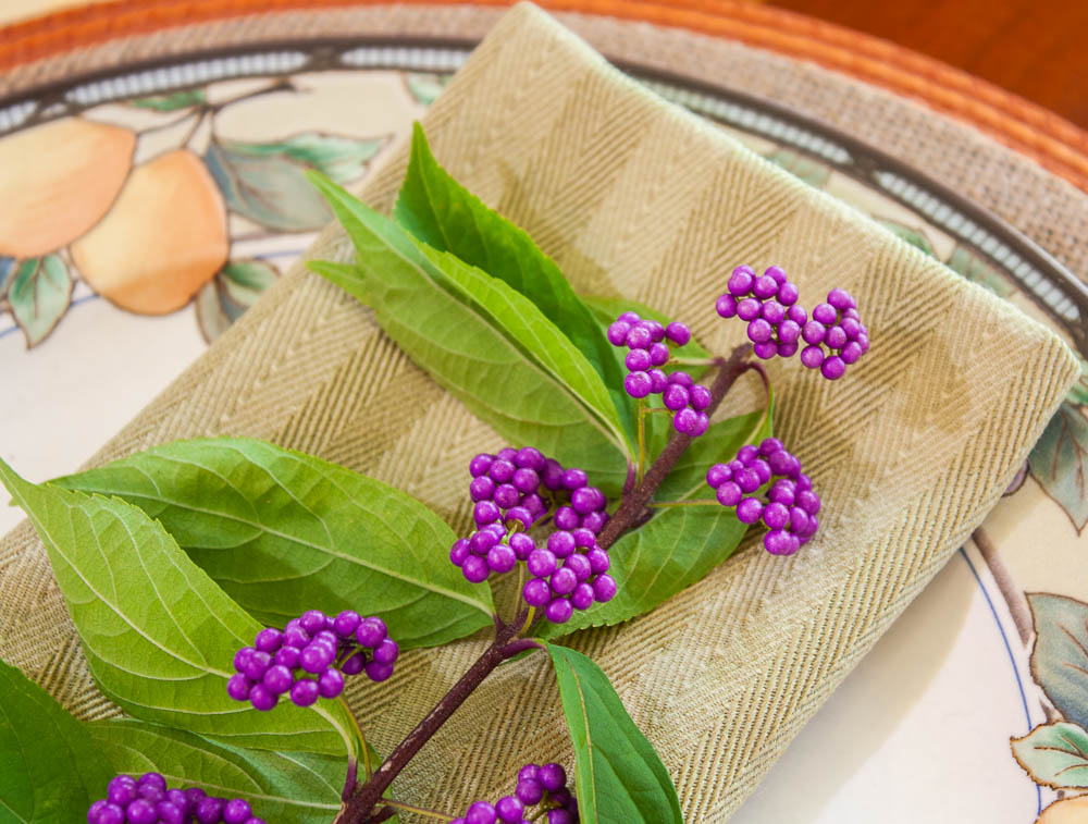 A sprig of Beautyberry on a napkin on a Mikasa Garden Harvest plate