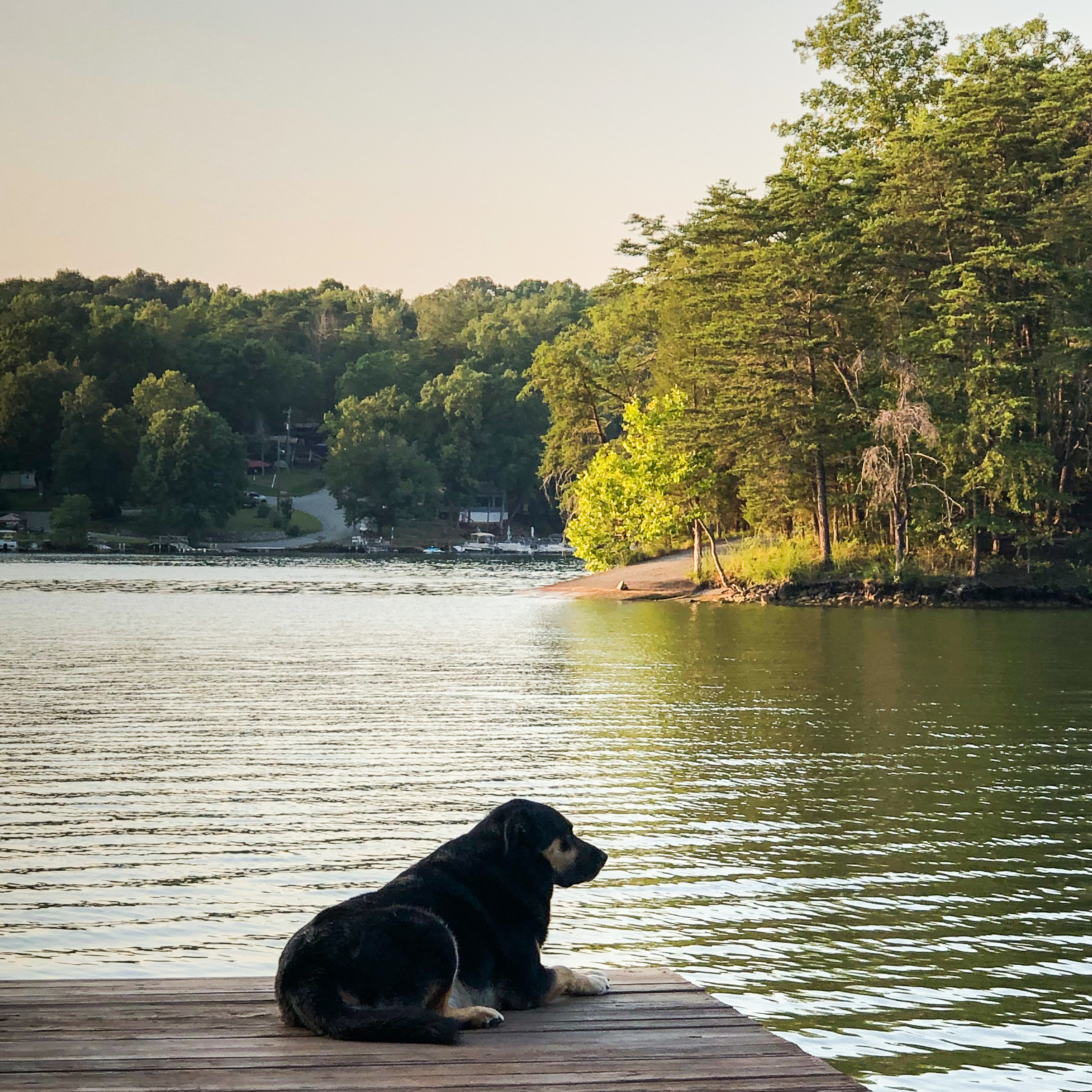 Sherman Skulina at Smith Mountain Lake