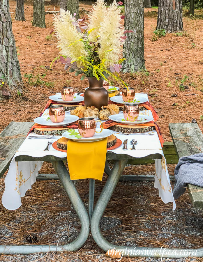 Fall Tablescape at Smith Mountain Lake State Park in Virginia