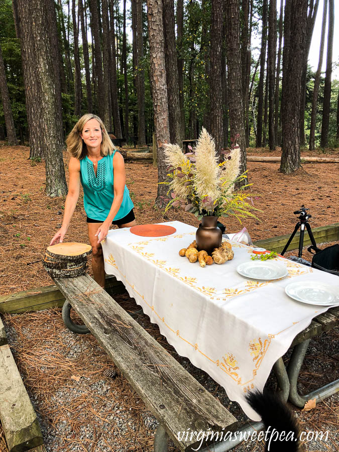 Fall picnic in a pine grove at Smith Mountain Lake State Park