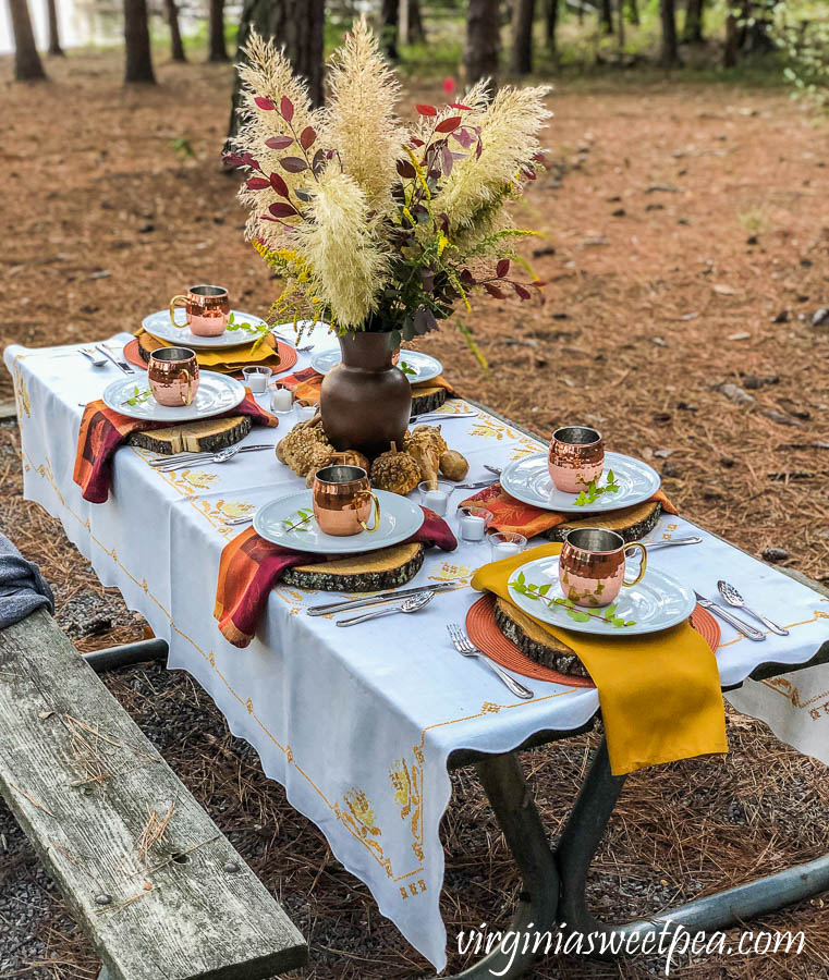 Fall Tablescape at Smith Mountain Lake State Park in Virginia