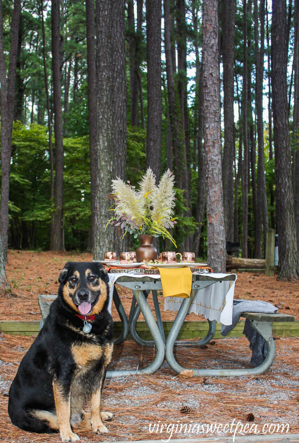 Fall Tablescape at Smith Mountain Lake State Park in Virginia