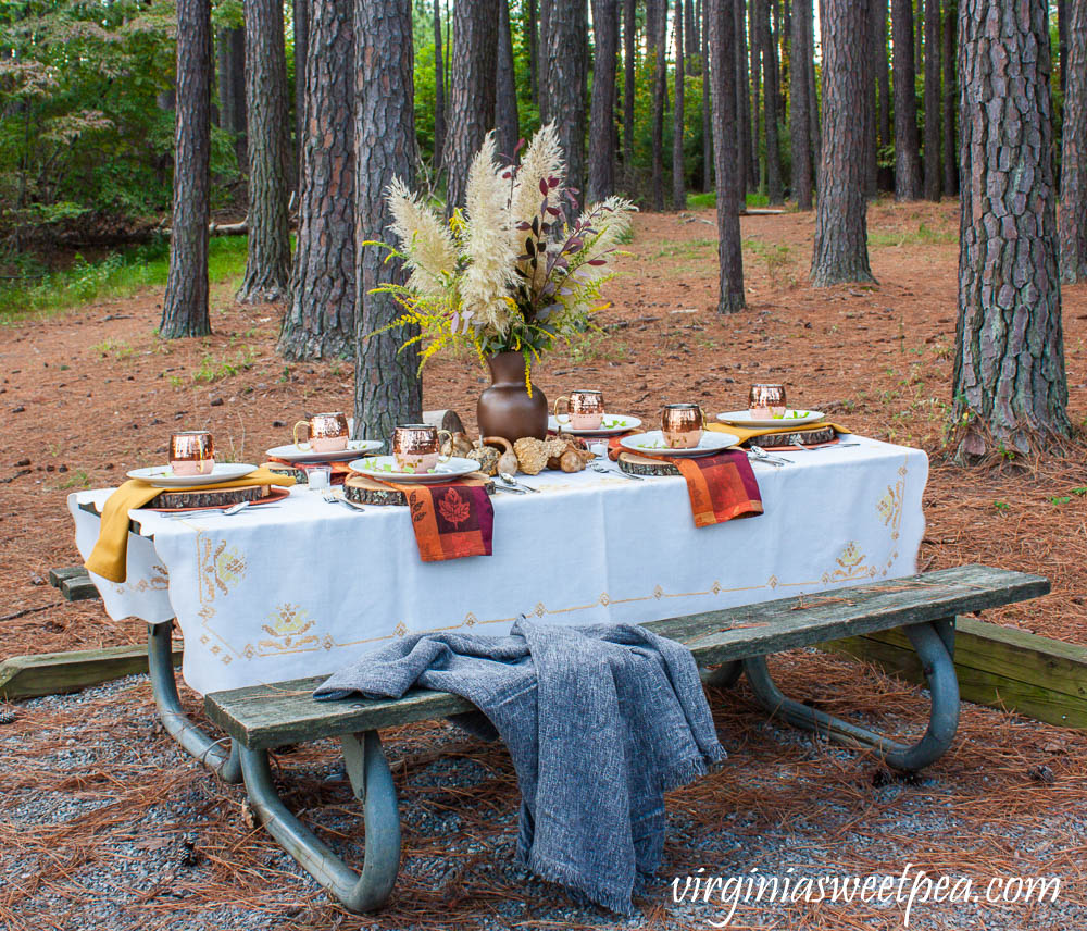 Fall Tablescape at Smith Mountain Lake State Park in Virginia