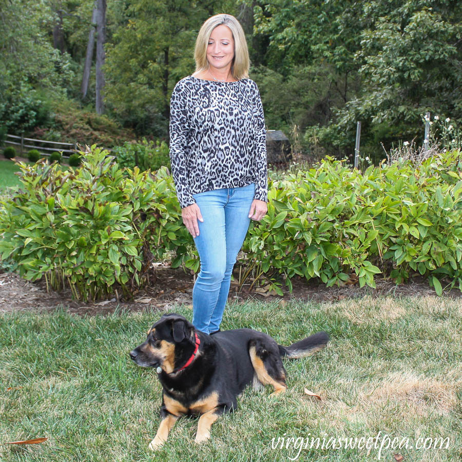 Stitch Fix Review for October 2019 - Fortune + Ivy Alannis Dolman Sleeve Knit Top