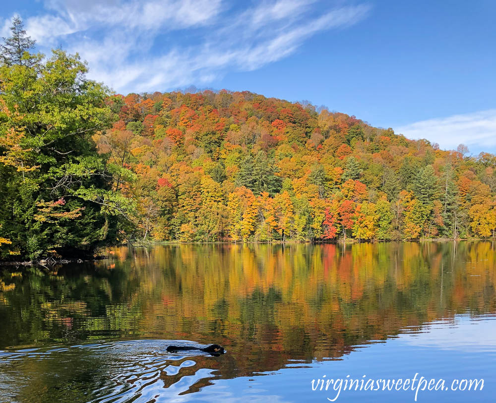 The Pogue in fall in Woodstock, Vermont