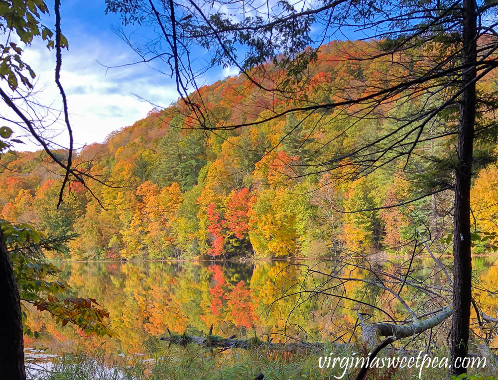 The Pogue in Woodstock, Vermont