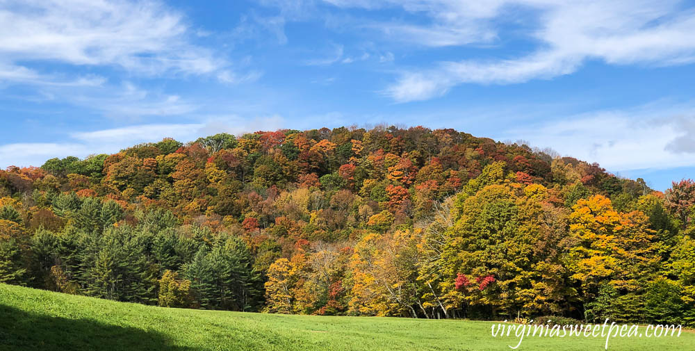 Fall Foliage in Woodstock, Vermont