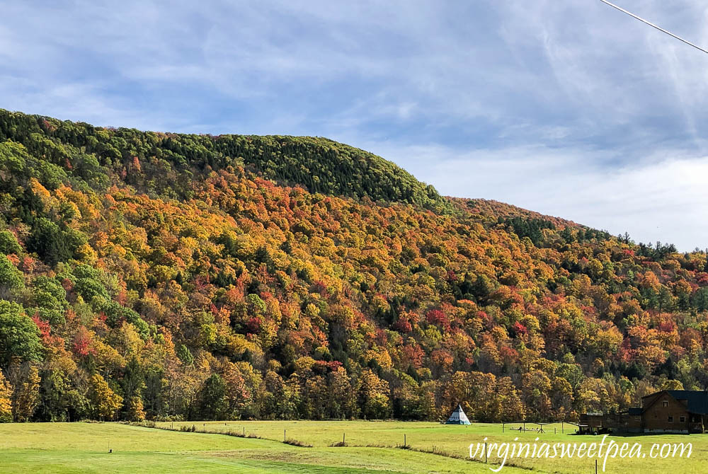 Fall foliage in Vermont