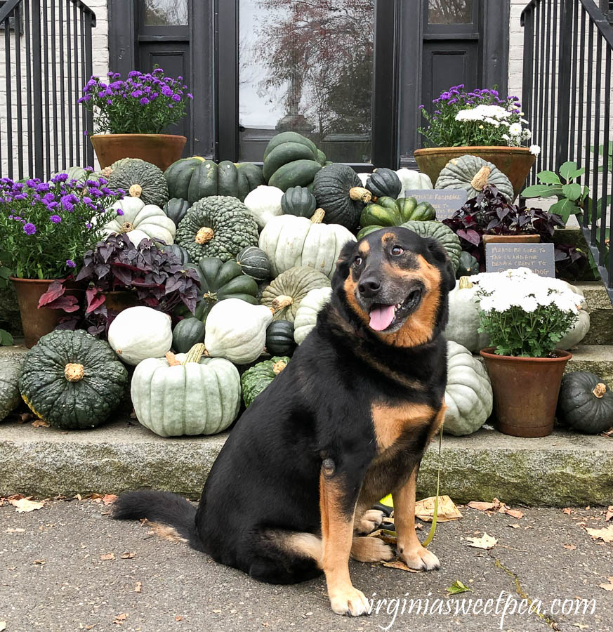 Sherman Skulina in Woodstock, Vermont