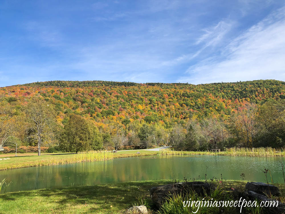 Fall foliage in Vermont