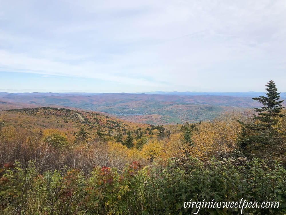 Fall foliage in Vermont