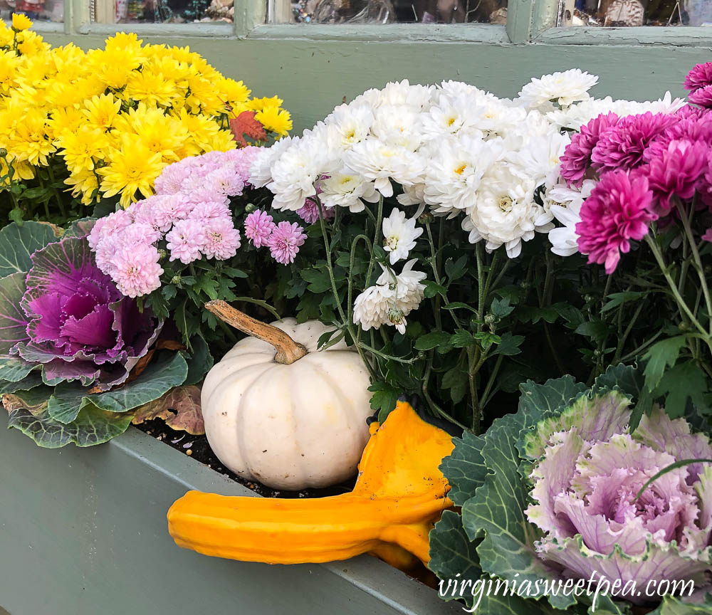 Fall window box in Woodstock, Vermont