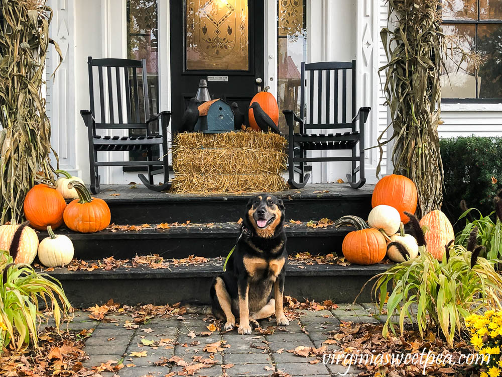 Sherman Skulina on a porch decorated for fall in Woodstock, Vermont