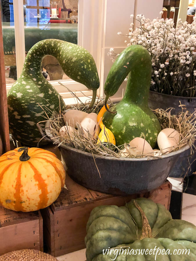 Swan gourds with egg gourds at the Woodstock Inn in Woodstock, Vermont