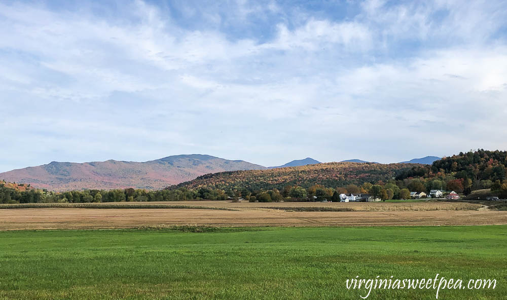 View at Boyden Valley Vineyard in Vermont