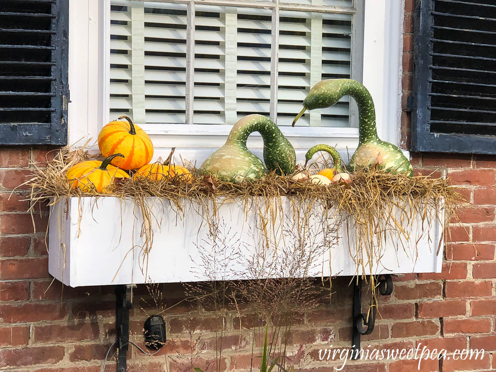 Window box in Woodstock, Vermont