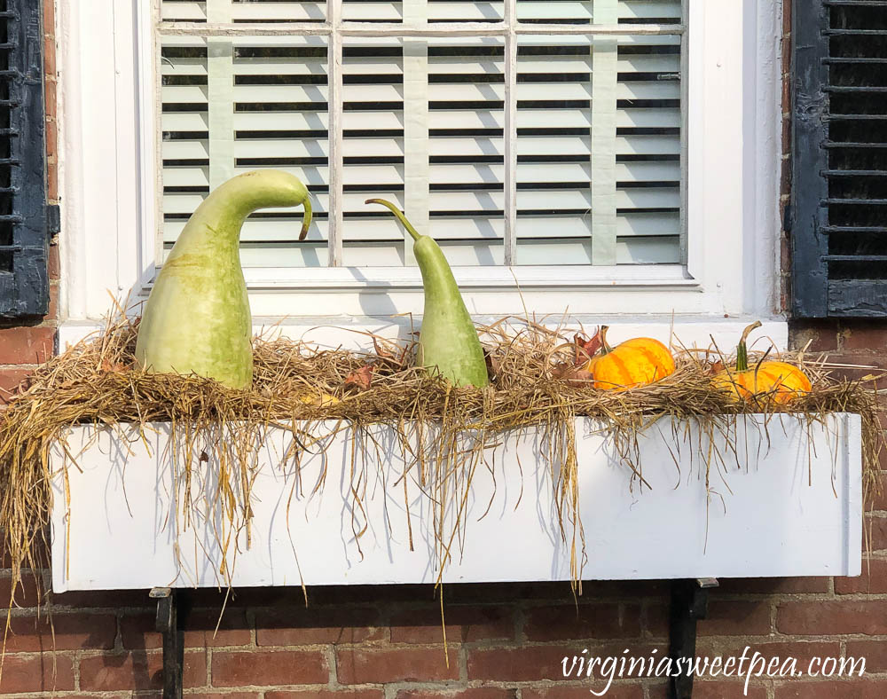 Window box in Woodstock, Vermont