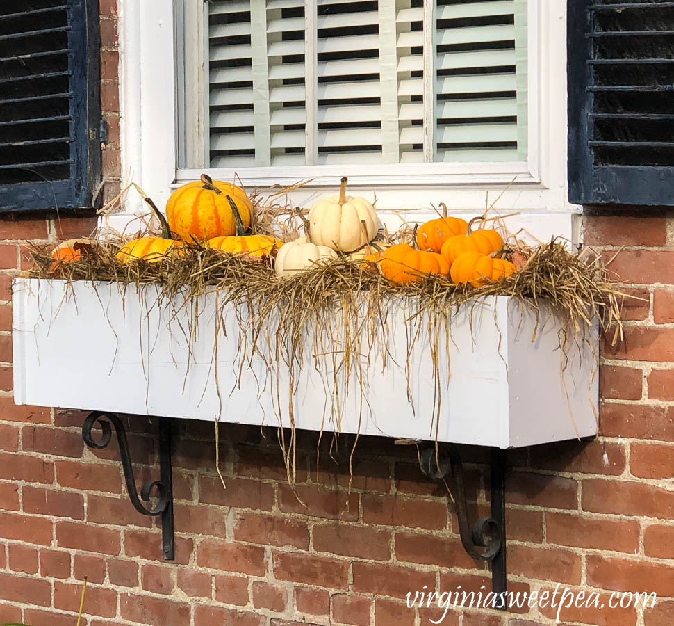 Window box in Woodstock, Vermont