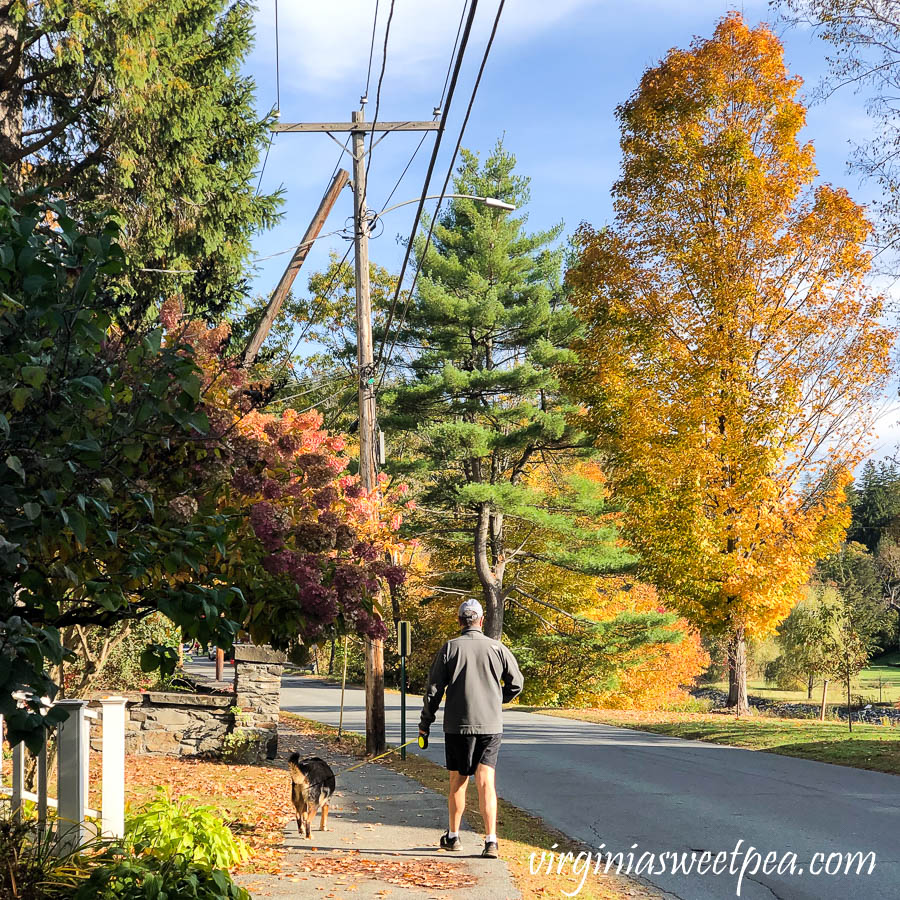 Sherman and David Skulina in Woodstock, Vermont with fall foliage