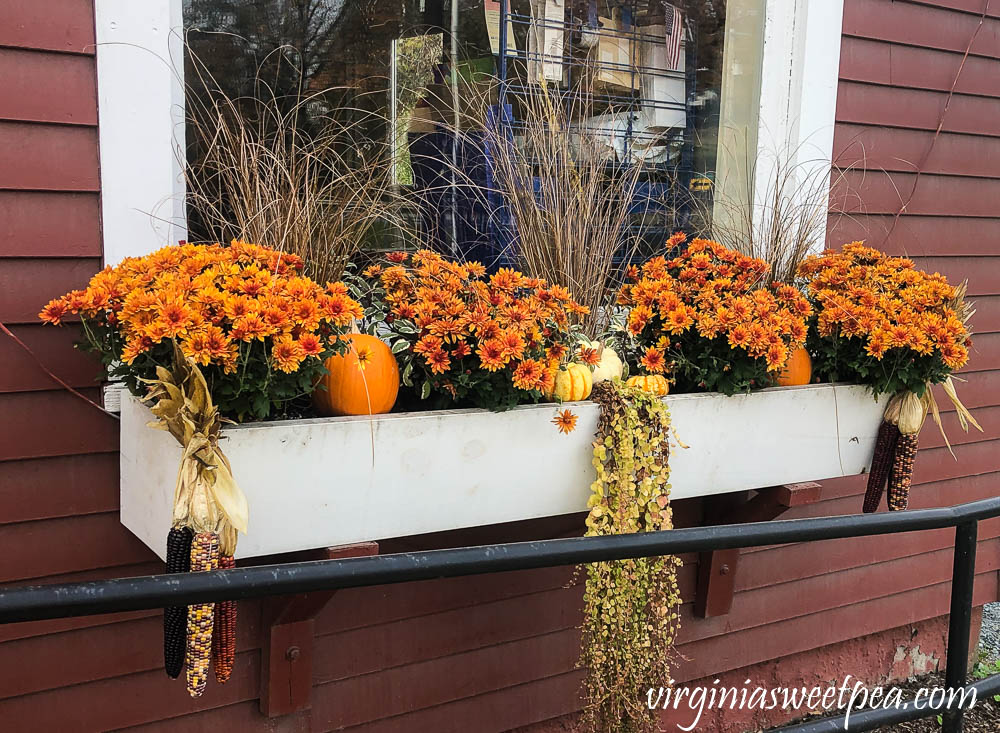 Window Box in fall in Vermont