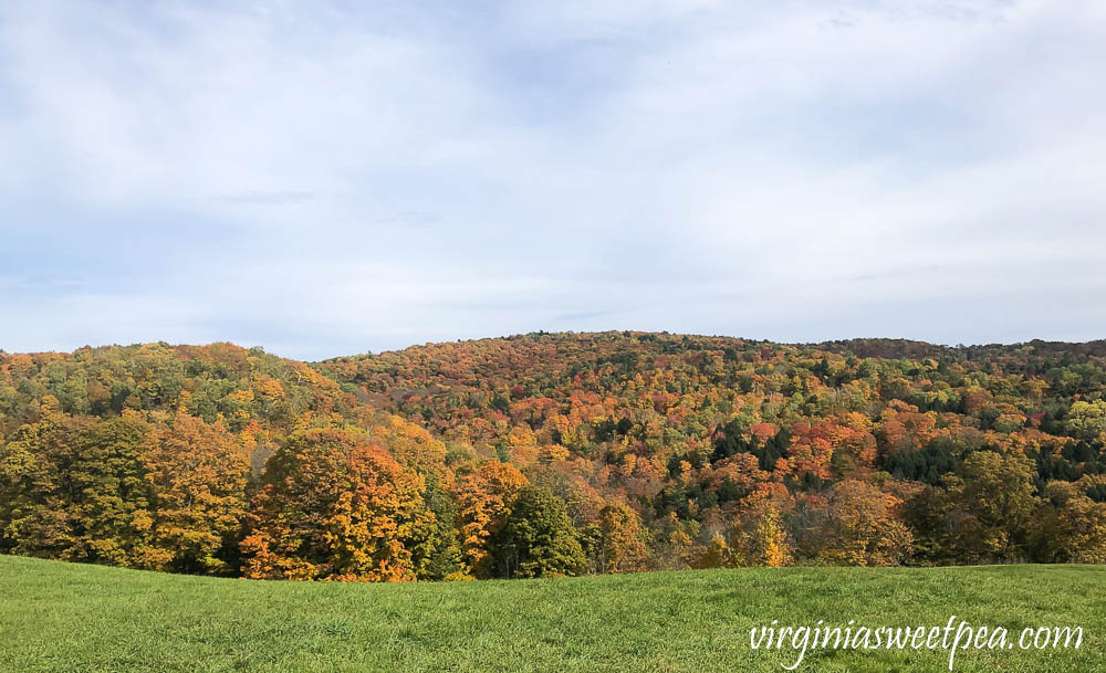 Fall Foliage in Vermont