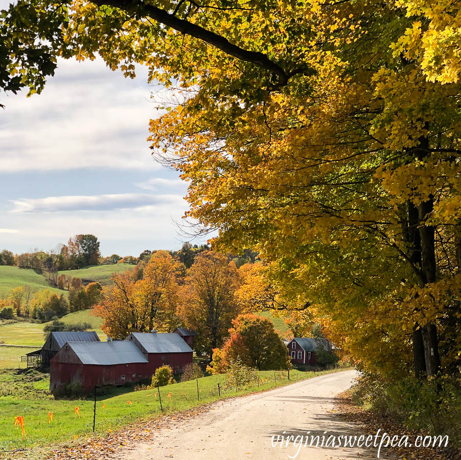 Jenne Farm in fall in Vermont
