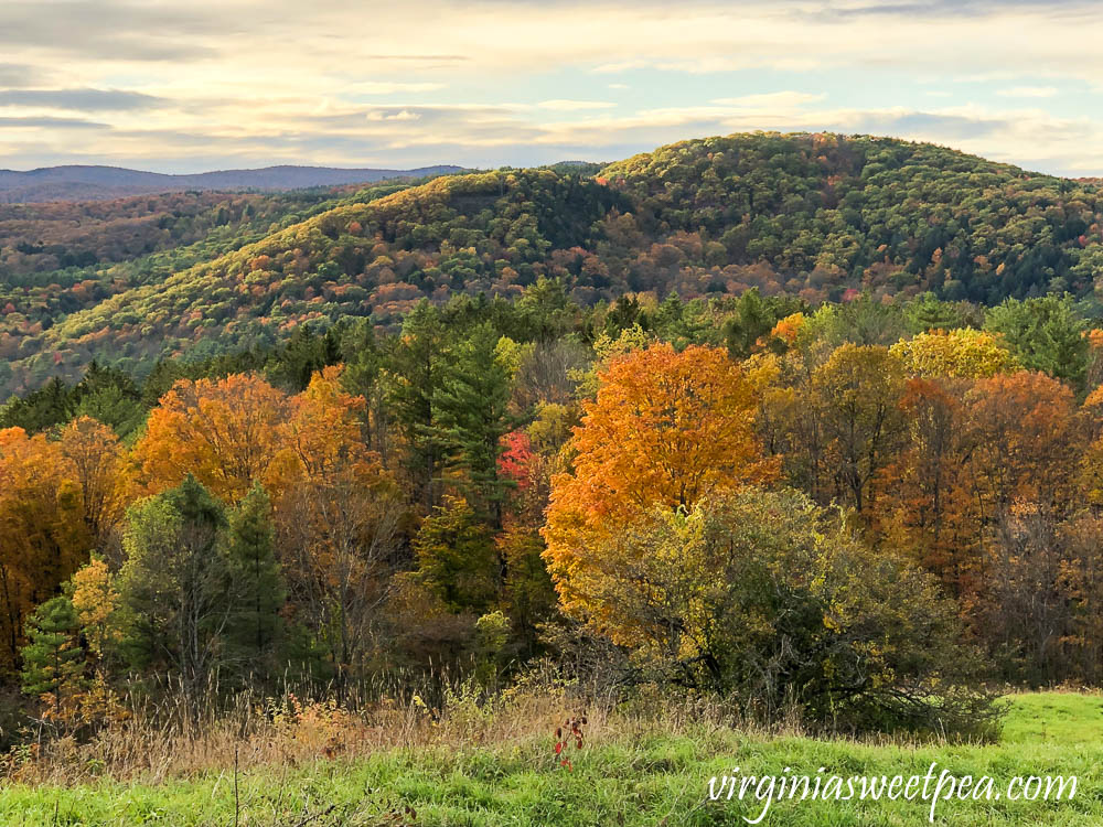 Fall foliage on the top of Mt. Peg in Woodstock, VT