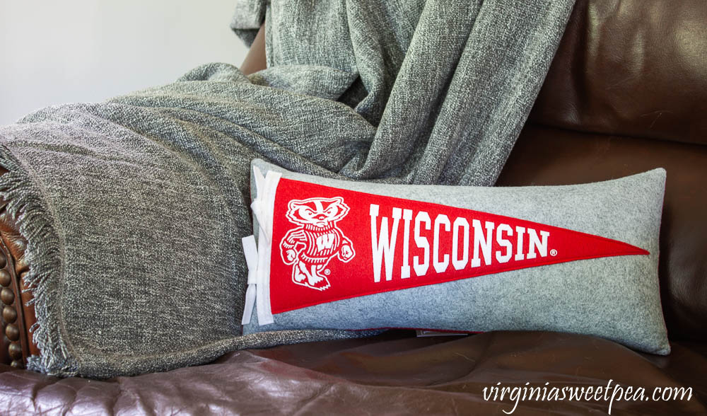 Wisconsin Pennant Pillow