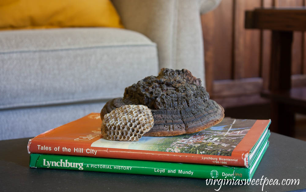 Two Lynchburg, Virginia books, Tales of the Hill City and Lynchburg, A Pictorial History are used in a fall vignette with a dried shelf fungus and a wasp nest.