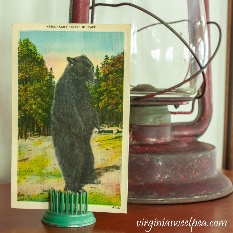 I Can't "Bear" to Leave vintage postcard