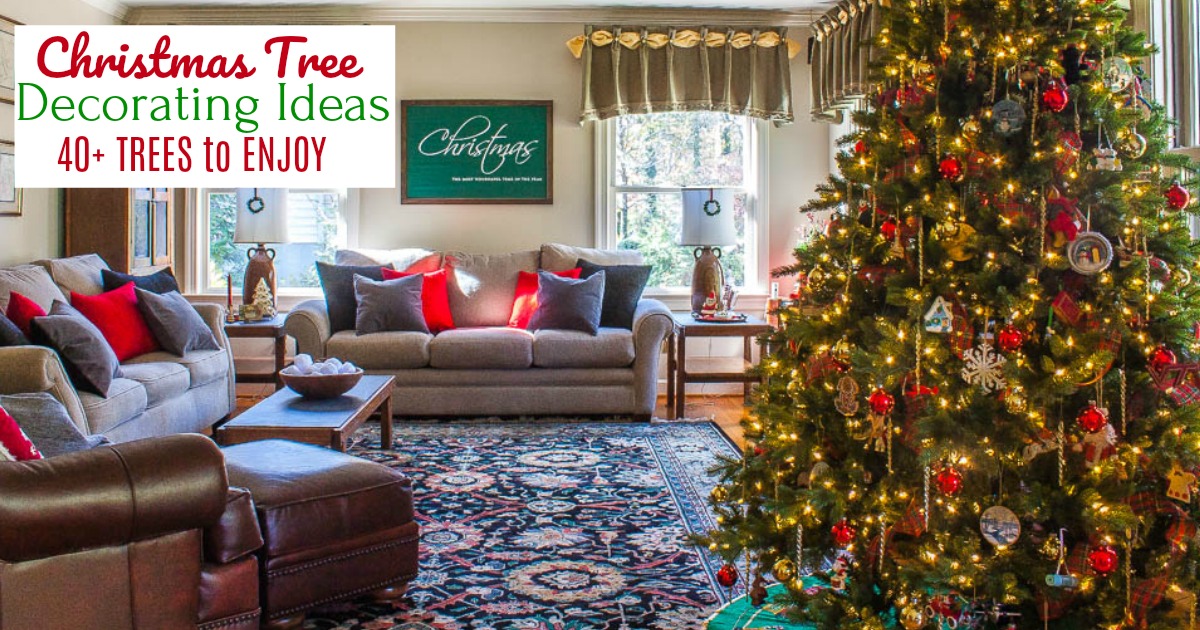 Our 2019 Christmas Trees Sweet Pea