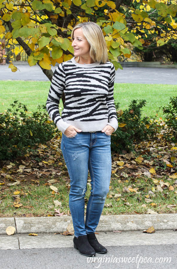 Stitch Fix Design History Litha Crewneck Pullover with Vigoss Elaine Distressed Girlfriend Jean