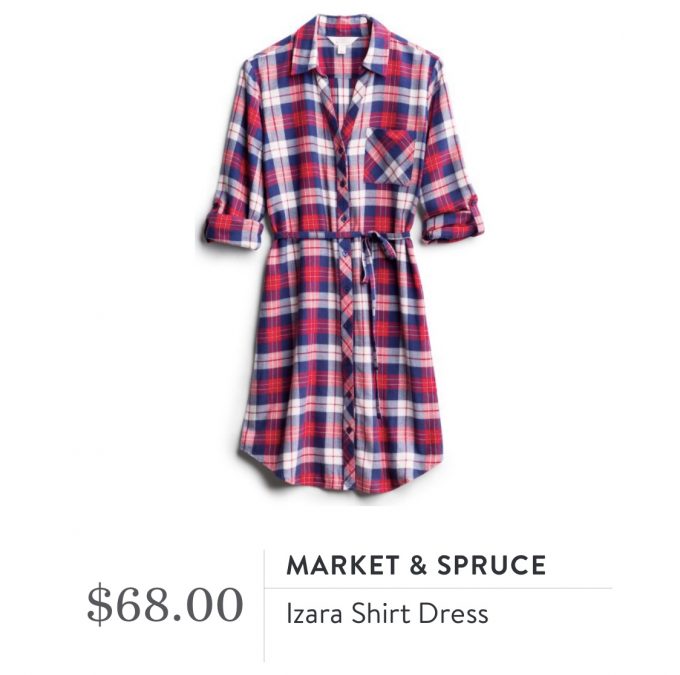 Market & Spruce Izara Shirt Dress