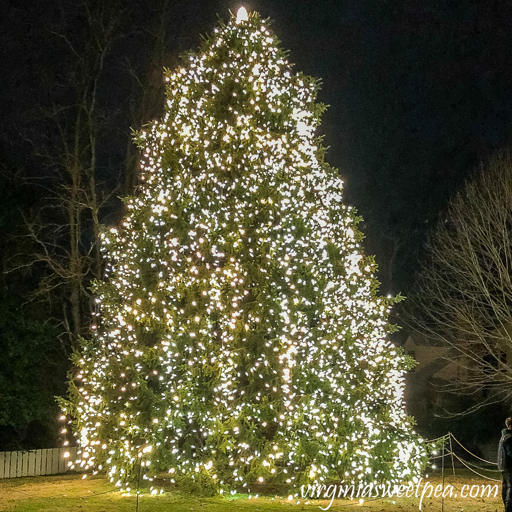 Christmas Tree in Colonial Williamsburg, Virginia