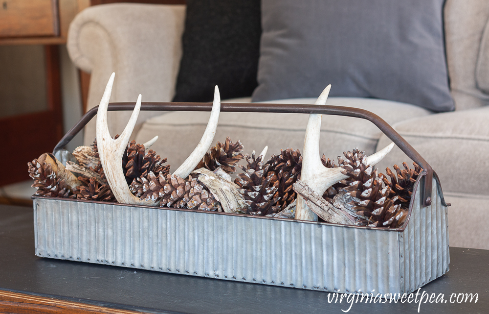 Metal tote filled with pine cones, deer antlers, and Birch bark