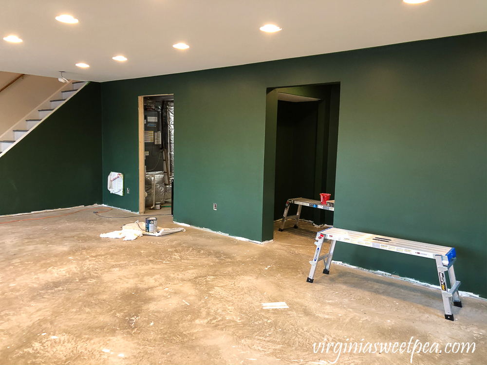 Walls Painted with Sherwin Williams Emerald Paint in Rock Garden