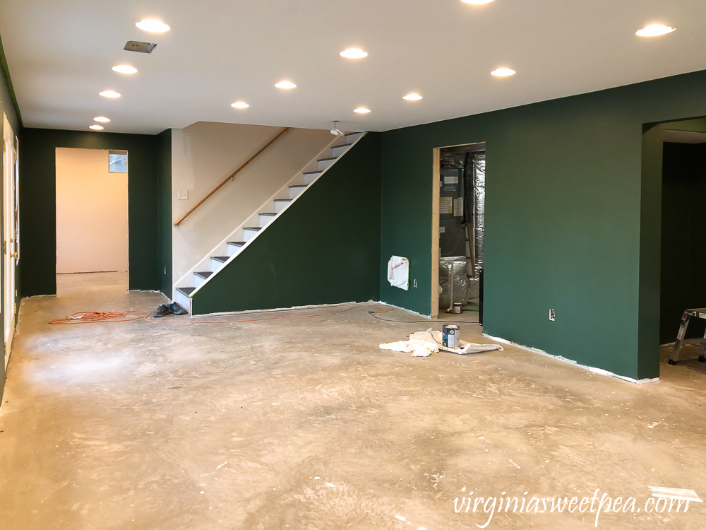 Walls Painted with Sherwin Williams Emerald Paint in Rock Garden